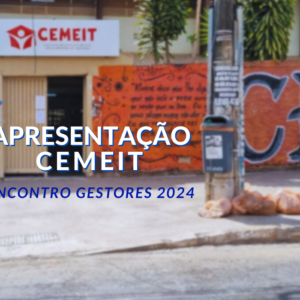 APRESENTAÇÃO DO CEMEIT – SEDF 2024